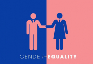 гендерні питання