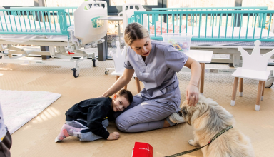 Дім метеликів